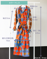 Colorlessness -draft-