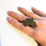 リング・アフリカS