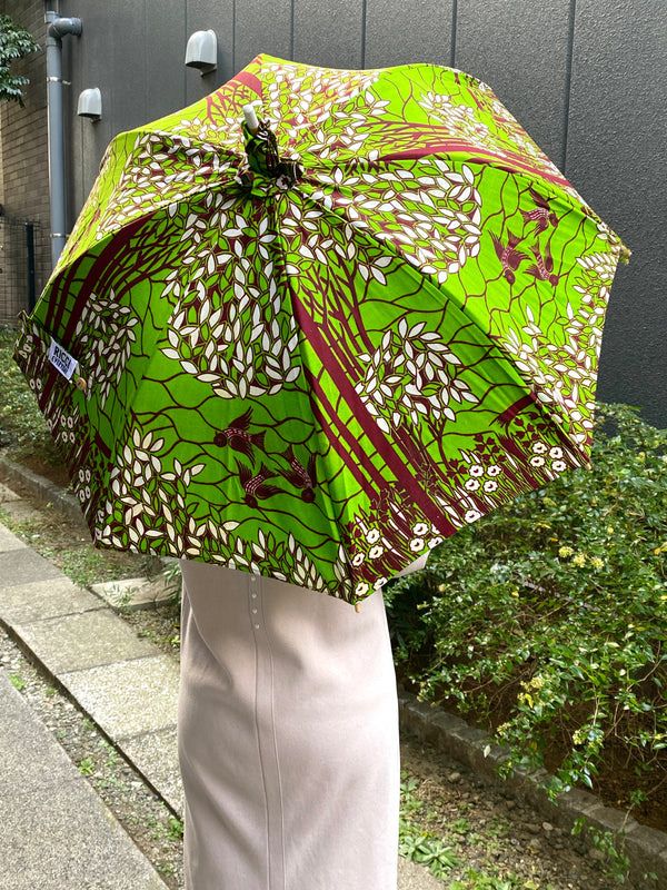 Sasa umbrella -custom -C