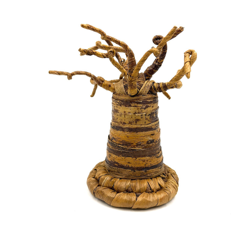 バオバブ・クリスマスツリー・セット - A -