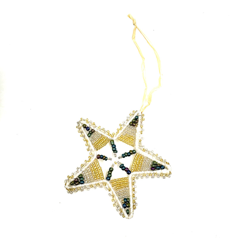 バオバブ・クリスマスツリー・セット - B -