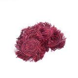 Wild Coaster -Red-
